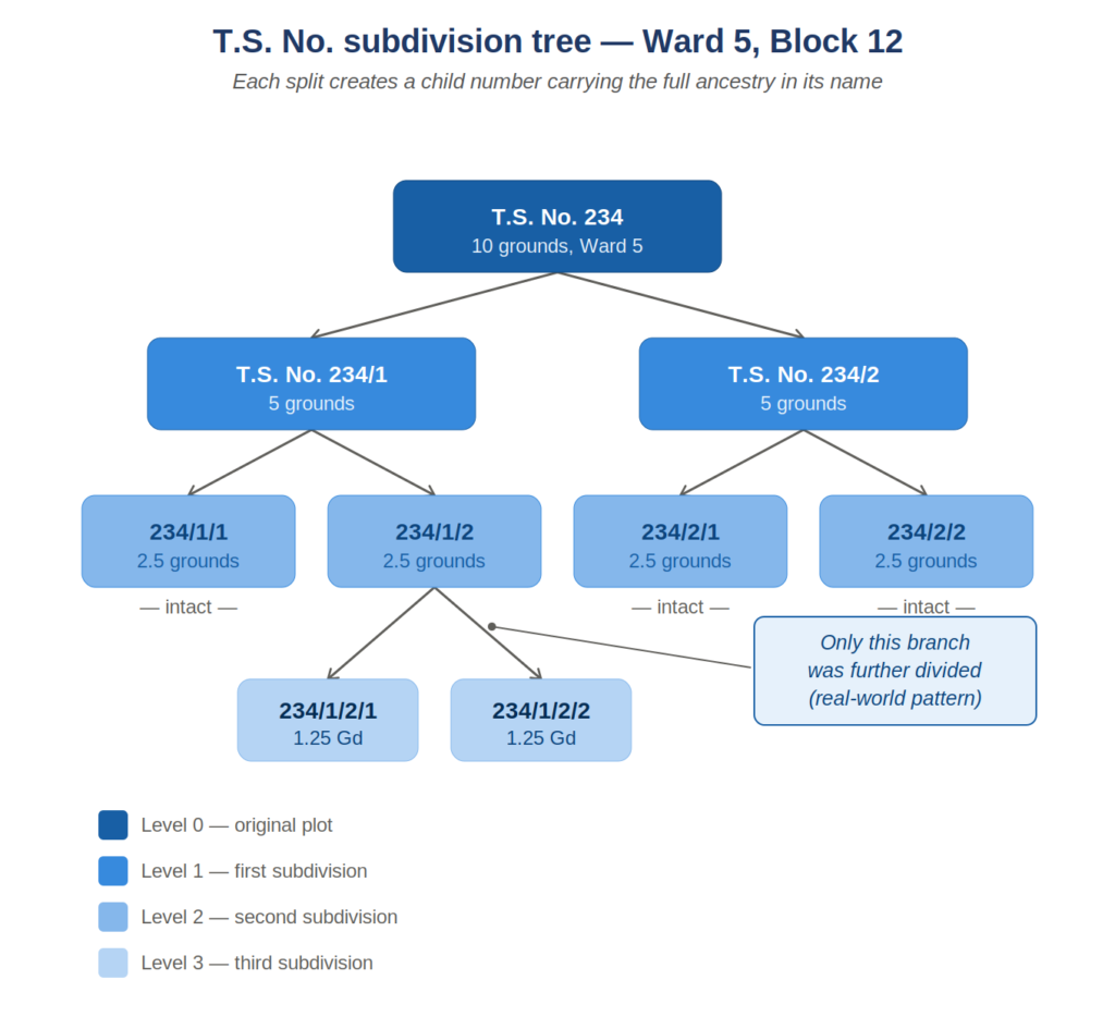 Diagram showing a Town Survey Number subdivision tree: T.S. No. 234 splitting into child numbers 234/1 and 234/2, then further into a second and third level of subdivision